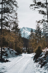 snow covered road in the mountains