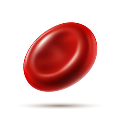 A vector of a single red blood cell with soft highlights and rich color, isolated on white.