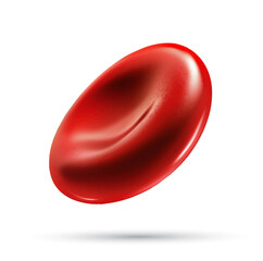 A vector of a high-detail red blood cell, showcasing its natural concave shape and organic texture.