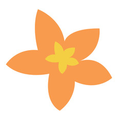 Orange flower head vector illustration, orange flower flat design illustration, flower clip art, isolated on white background