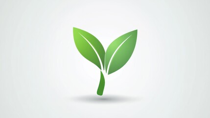 Fototapeta premium Two Green Leaves, Nature Symbol, Clean Design