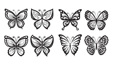 butterfly vector