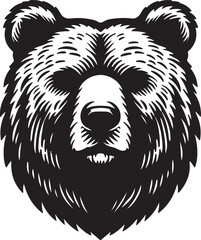 Bear  picture in white background