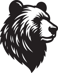 Bear  picture in white background