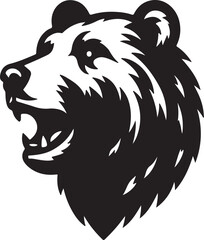 Bear  picture in white background