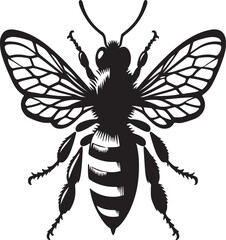 Bee  picture in white background
