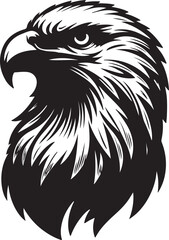 Eagle  picture in white background