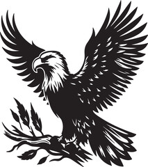 Eagle  picture in white background