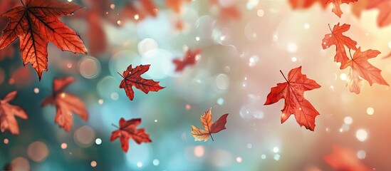 Vibrant autumn leaves in red and orange float on a blurred bokeh background of cool blue and warm light gradients creating a dreamy atmosphere