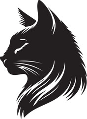 Cay picture in white background