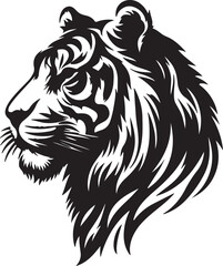 Tiger picture in white background