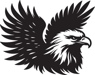 Eagle  picture in white background