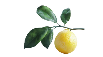 lemon with leaves isolated on transparent background