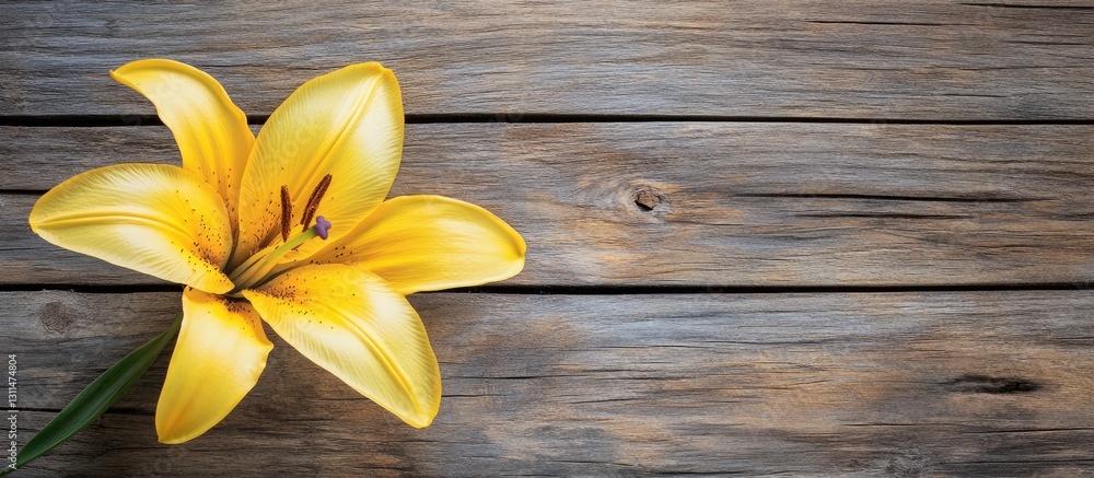 Poster vibrant yellow lily flower positioned left on rustic wooden surface with ample copyspace on the righ