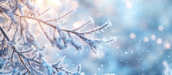 Naklejka premium Frosted branch in blue snowy background with shimmering light bokeh and gentle snowfall creating a serene winter setting perfect for holidays