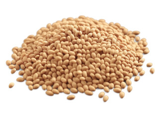 Fototapeta premium Finger Millet (Eleusine coracana) Small, reddish-brown finger millet grains with a nutty taste, used in porridges, flatbreads, and baked goods.