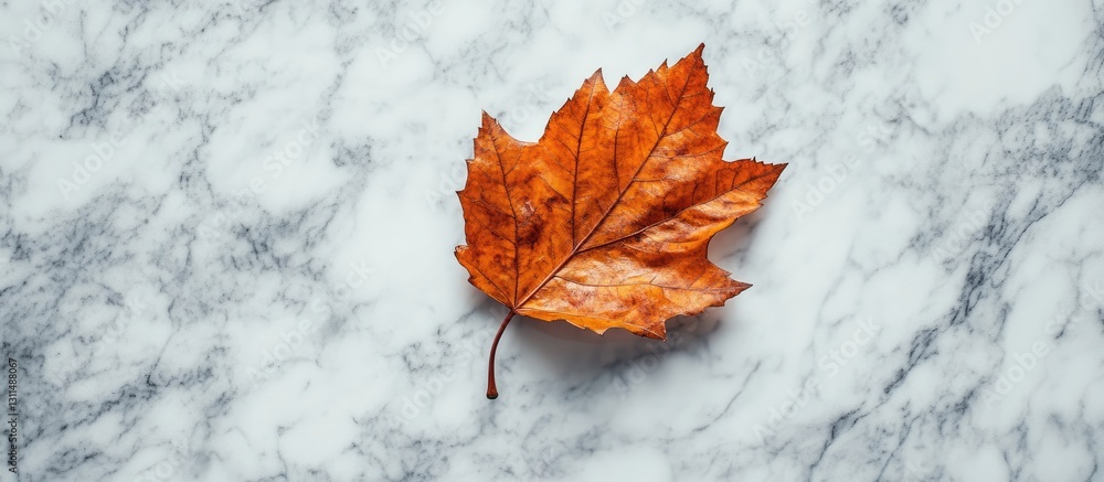 Poster Fallen orange maple leaf on a white marble surface centered in the frame capturing autumn textures and natural beauty from a top view