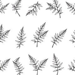 Botanical Pattern: An elegant arrangement of stylized botanical leaves, creating a visually captivating, seamless pattern perfect for designs. 
