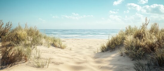 Serene abandoned sandy beach with gentle seagrass and vibrant vegetation in foreground, ocean waves softly rolling in under a clear blue sky