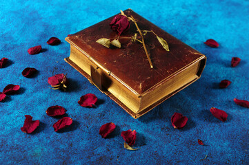 Faded Memories and Roses