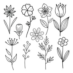 Set of hand drawn Botanical flowers on white isolated background.