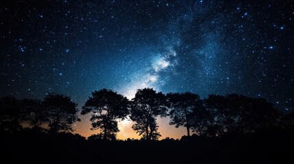 Fototapeta premium Silhouette of Trees Against a Starry Night Sky