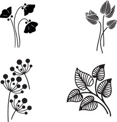 The image features four distinct black and white botanical illustrations, each depicting different stylized floral and leaf designs with elegant, minimalistic line art.
