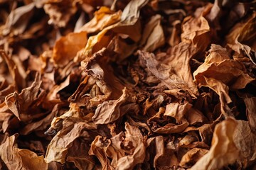 Dried Tobacco Leaves Brown Texture Background Image Natural Closeup Dark Fall Leaf Plant Macro Cigar