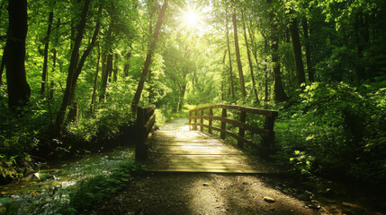 Fototapeta premium Sunlit Forest Bridge Path Nature - Nature photography