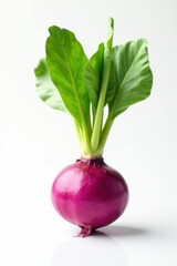 Single turnip and its leafy top, pristine white backdrop , plant, fresh, diet