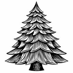 Obraz premium Monochrome Engraved Pine Tree Illustration for Nature and Holiday Designs