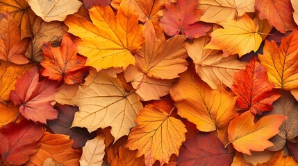 Autumn Fall Leaves Seamless Pattern Background for Seasonal Designs