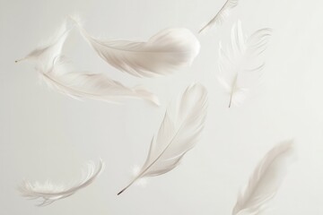Fototapeta premium Floating feathers create a dreamy atmosphere against a soft white background in a high key setting