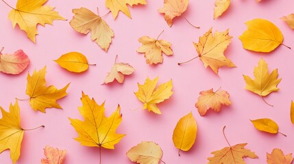 Elegant Pink Background with Delicately Scattered Yellow Leaves in Artistic Arrangement