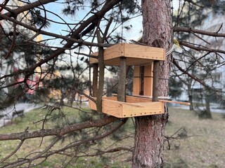 A charming wooden birdhouse hangs from a tree branch, surrounded by lush green foliage and blooming hydrangeas