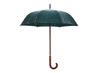 Elegant dark green umbrella stands alone on a snowy park bench, autumn leaves scattered around.