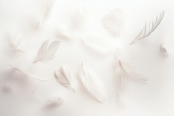 Fototapeta premium Soft floating feathers create a dreamlike composition on a white background in high key photography
