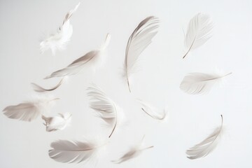 Floating feathers create a dreamlike atmosphere against a soft white background in high key photography showcasing delicate beauty