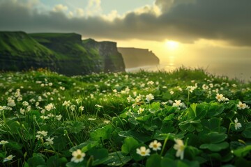 beautfiful view of shamrock garden in ireland sunset in the mountains