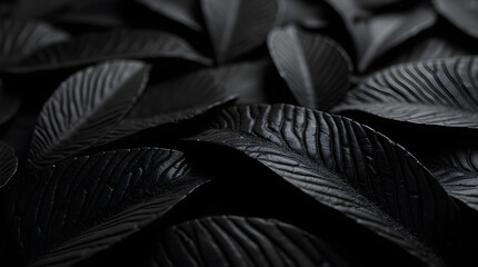 Black Leaves Texture Close-Up Moody Dark