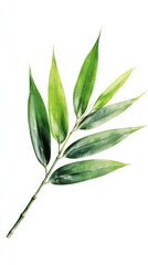 Obraz premium Exquisite Bamboo Leaf with Crisp Veins