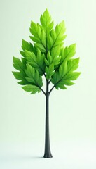 Fototapeta premium Single isolated branch with smooth gray trunk and leaves in different shades of green, tree bark, nature