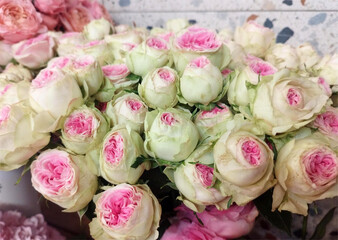 Natural many pink and white roses background. Pink and white roses horizontal. Concept of love, women's day. Texture of flowers. Wedding background of delicate roses.