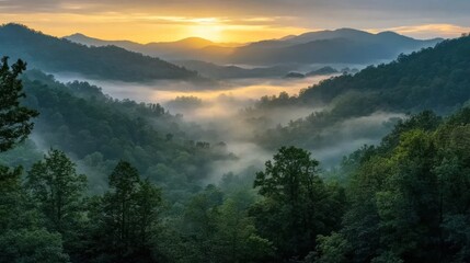 Fototapeta premium Mountain landscape. Forest with fog below a golden sunrise. Nature scene with trees and hills in soft light. Peaceful and scenic view.