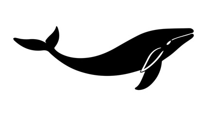 whale shape isolated on white
