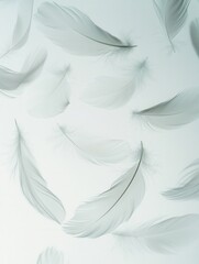 Soft floating feathers create an ethereal atmosphere in a minimalist dreamlike composition with a white background