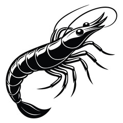 shrimp vector art design 