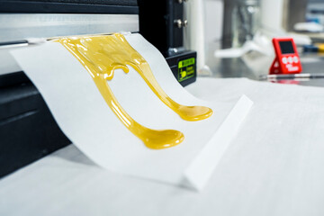 Fresh Pressed Cannabis Live Rosin Up Close