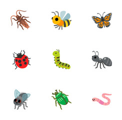 set of cartoon insects isolated on white background 