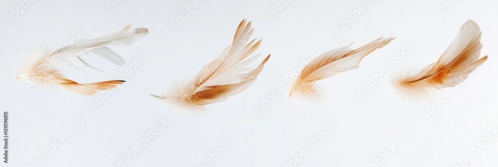 Poster soft feathers float gracefully in a dreamlike composition against a bright white backdrop, evoking a